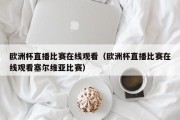 欧洲杯直播比赛在线观看（欧洲杯直播比赛在线观看塞尔维亚比赛）