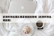 欧洲杯预选赛比赛录像回放视频（欧洲杯预选赛回看）