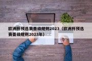 欧洲杯预选赛晋级规则2023（欧洲杯预选赛晋级规则2023年）